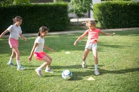 为什么稳定才是实力（稳定，才是实力的基石）