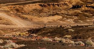 棒球与亚洲消费市场大联盟球队如何通过签约亚洲巨星收割海外市场